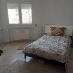Appartement Plein Centre Urbain